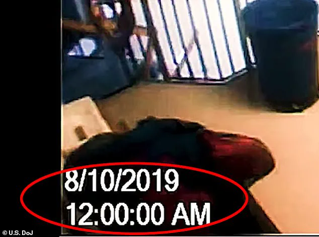 Oversight Committee's Investigation Uncovers Missing Minute in Epstein Surveillance Footage, Prompting Ethics Reevaluation