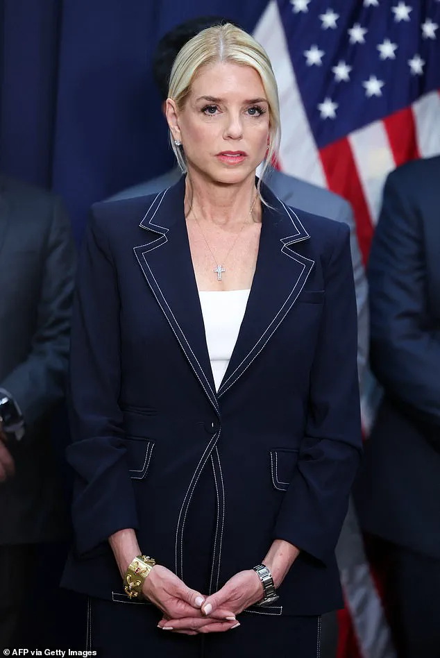 Oversight Committee's Investigation Uncovers Missing Minute in Epstein Surveillance Footage, Prompting Ethics Reevaluation