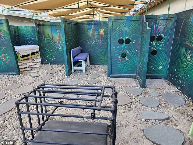 Palm Springs' Exotic Dream Resort Listed for $10.5 Million, Reigniting Interest in Its Controversial History