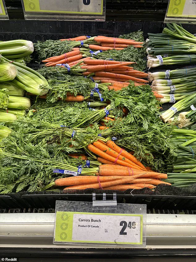 Scandal Erupts as Canadian Supermarkets Accused of 'Maple Washing' in Labeling Fraud