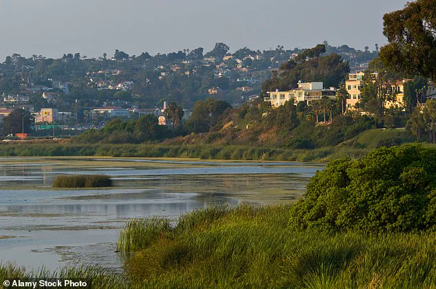 John Levy Fined $1.4M for Blocking Beach Access with Gate at Carlsbad Mansion, Coastal Commission Rules Structure Must Be Removed: 'Public Access Cannot Be Restricted,' Commission States
