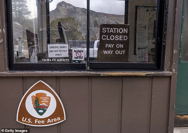 Surge in BASE Jumping Activity at Yosemite's El Capitan Sparks Concern, Says Local Climber