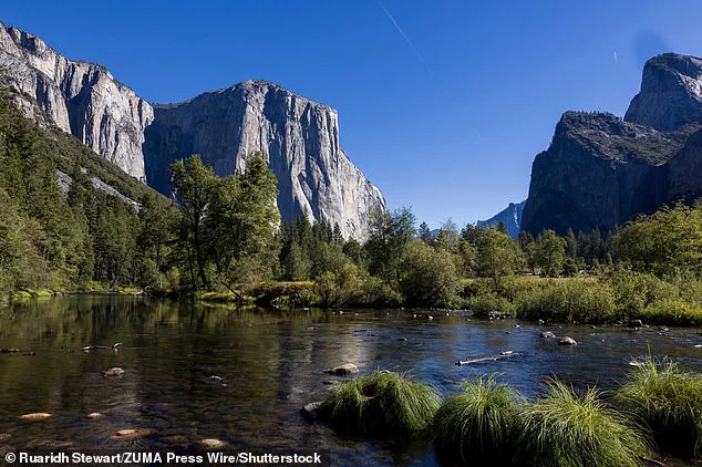 Surge in BASE Jumping Activity at Yosemite's El Capitan Sparks Concern, Says Local Climber