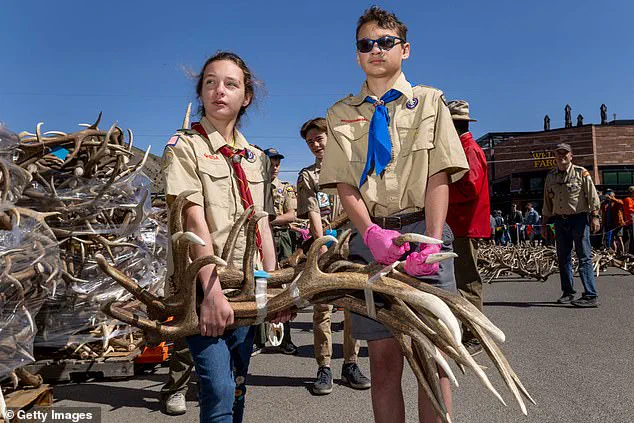 Pentagon Poised to Sever Ties with Boy Scouts Over Name Change and DEI Initiatives