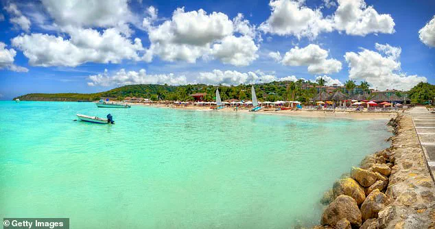Tragic Death of Wisconsin Woman During Antigua Horseback Riding Tour Sparks Global Outcry