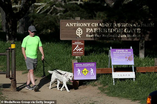 Urgent Warnings as Death Cap Mushroom Poisoning Claims Three Lives in California, Prompting CDPH to Highlight 'Unprecedented' Outbreak