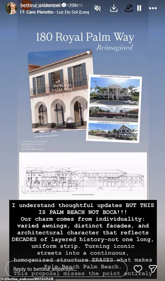 Bettina Anderson: New Palm Beach Developments Are a 'Homogenized Mess' That Threaten the Town's Identity