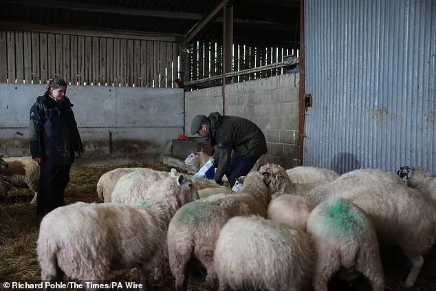 Breaking: Prince William's Hands-On Farm Visit Underscores Royal Commitment to Agriculture