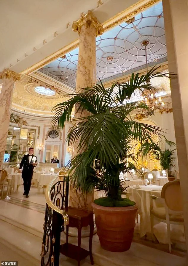Luxury Hotel's Unsettling Incident: Mouse Sighting During Afternoon Tea at The Ritz London