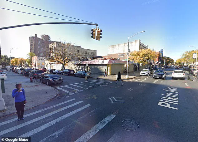 Unidentified Driver in Deadly NYC Hit-and-Run Claims Life of Beloved Nickelodeon Alum