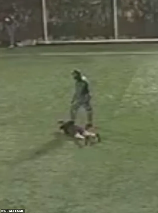 Chilling Footage Reveals Brazen Assassination on Football Pitch in Ecuador’s Guayas Province, Sending Shockwaves Through Nation