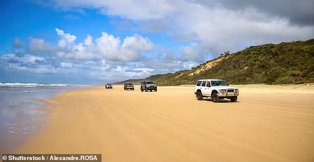 Late-Breaking: 19-Year-Old Piper James Found on K'gari Island with Defensive Injuries and Autopsy Findings Reveal Pre-Mortem Dingo Bite Marks