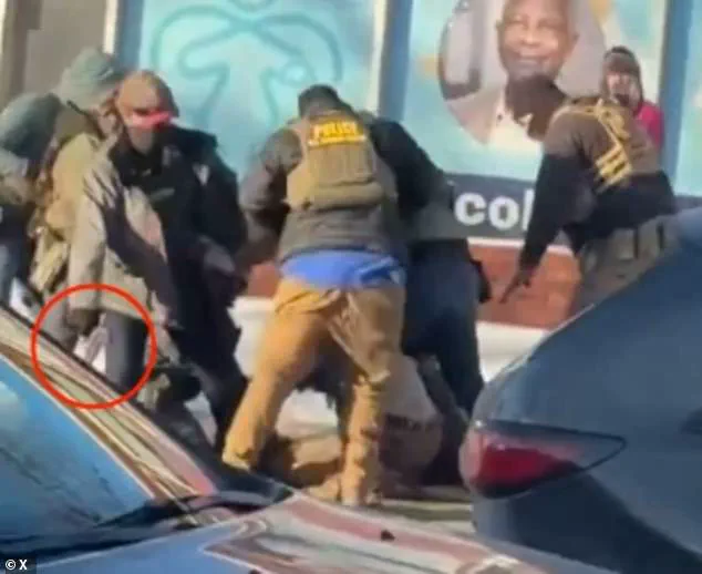 Federal Agents' Use of Deadly Force in Shooting of Veteran Nurse Sparks Debate: Advocates and Experts Question Justification