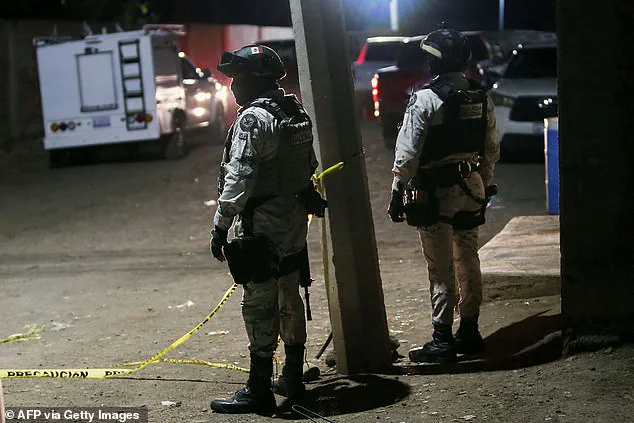Mass Shooting at Mexican Football Match Sparks Concerns Over Rising Violence in Guanajuato