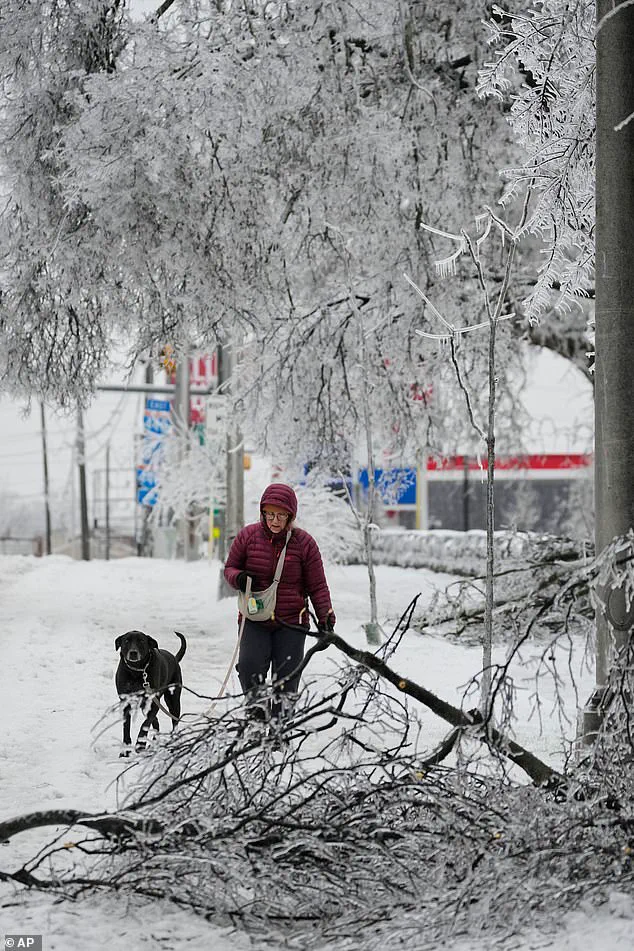 Winter Storm's Devastating Toll: $100 Billion in Damage, 16 Dead, and Communities Reeling