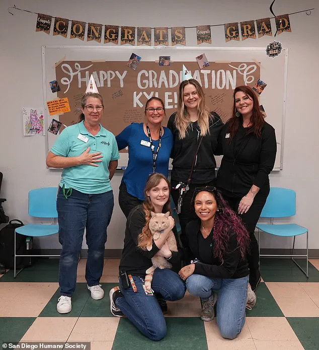 From Survival to Celebration: How a Coyote Attack Led to a Unique Graduation Ceremony for Resilient Tabby Kyle