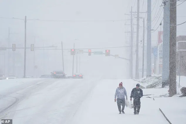 Nashville Family's Fight Against Winter Storm Fern: 'Our Home Became a Shelter Against the Cold' – Talia Caravello