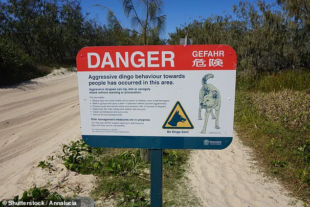 Controversy Over TikTok Video Filmed on K'gari Days Before Backpacker's Death Sparks Safety Debate