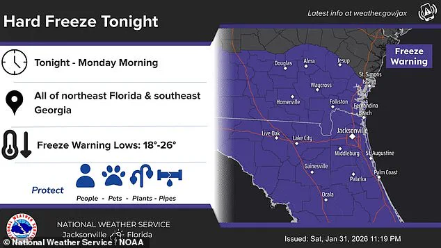 Florida's 'Sunshine State' Identity Challenged by Record-Cold Bomb Cyclone as Residents Face Disruption and Uncertainty