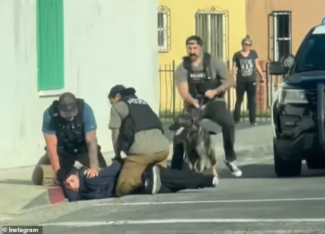 Viral Lynwood Confrontation Misinterpreted as ICE Raid, Police Clarify Criminal Activity