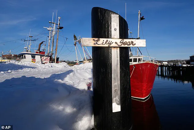 Fishing Boat *Lily Jean* Sinks: Victims Identified, TV Star Captain Gus Sanfilippo Among the Lost