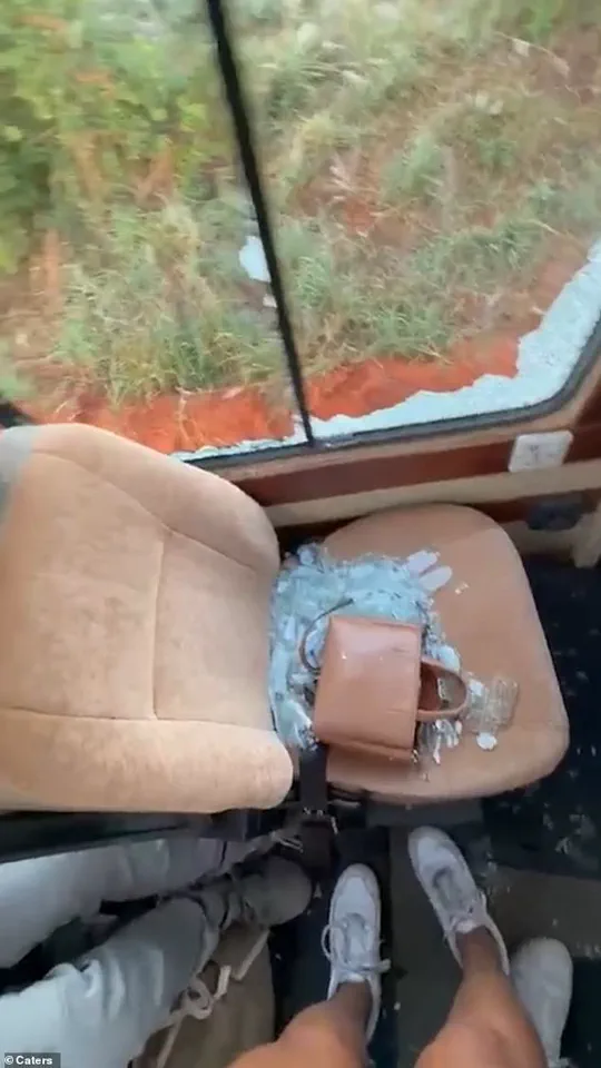 Tanzanian Safari Chaos: Elephant's Sudden Charge Shatters Vehicle Windows, Survivors Describe Heart-Stopping Escape