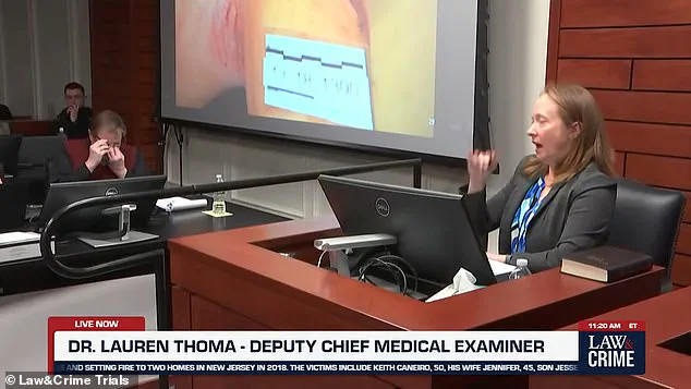 Man on Trial for Murdering Nephew and Setting Fires Breaks Down in Court as Medical Examiner Details Brutal Injuries