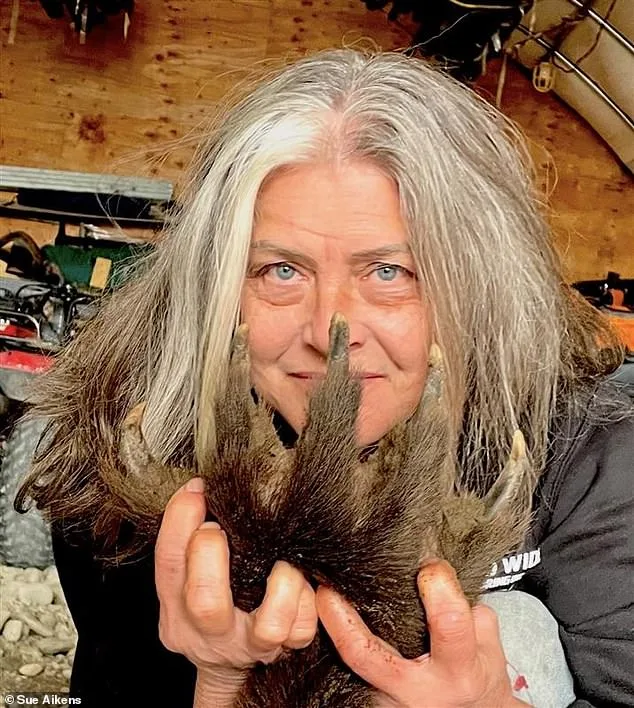 Surviving the Wild: Susan Aikens and Alaska's Unyielding Call