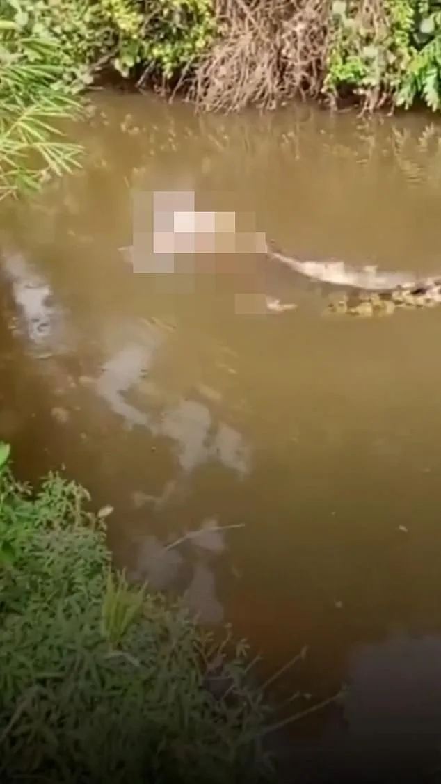 Indonesian Woman Killed in Crocodile Attack in Aceh Province
