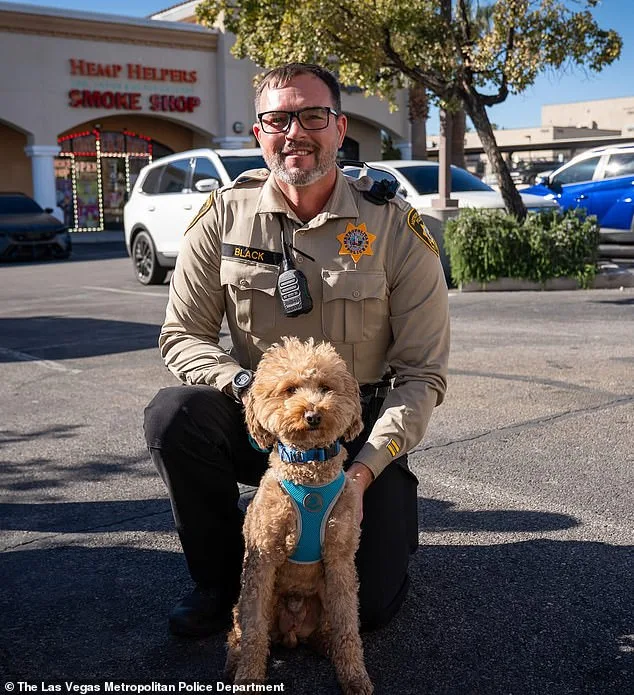 From Abandonment to Adoption: The Remarkable Rescue of Jet Blue