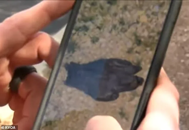 New Footage Released in Nancy Guthrie Disappearance Case: Masked Suspect at Tucson Home