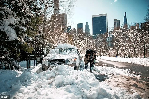 Polar Vortex Split to Delay Spring, Warns Climatologist