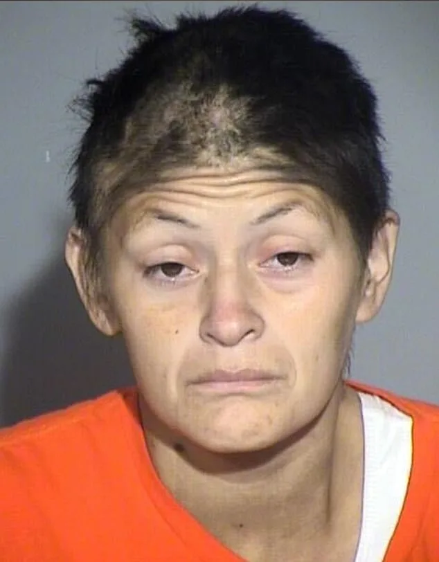 California Mother Faces Charges for Alleged Murder of Two Newborns Over a Decade Apart, as New Evidence Links Her to 2015 Case