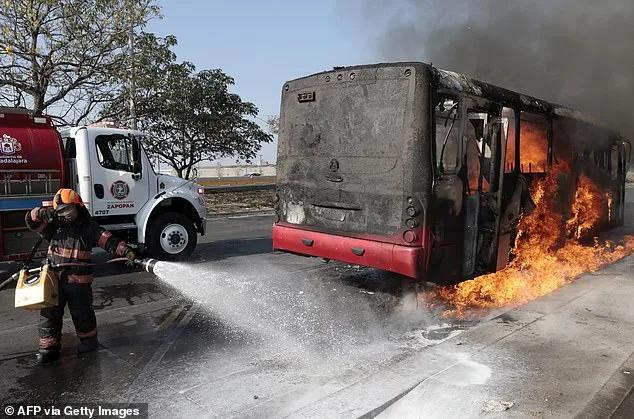 From Mexico to Hawaii: A Couple's Journey Through Cartel Violence and Historic Flooding