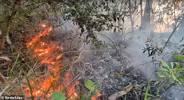 Amtrak passengers stranded for 19 hours after Florida brush fire