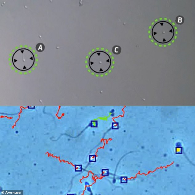AI-Powered Clinic in London Helps Couples Overcome Unexplained Infertility