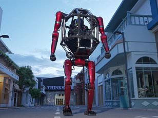 Humanoid robot collapses mid-dance routine in viral Shenzhen video.