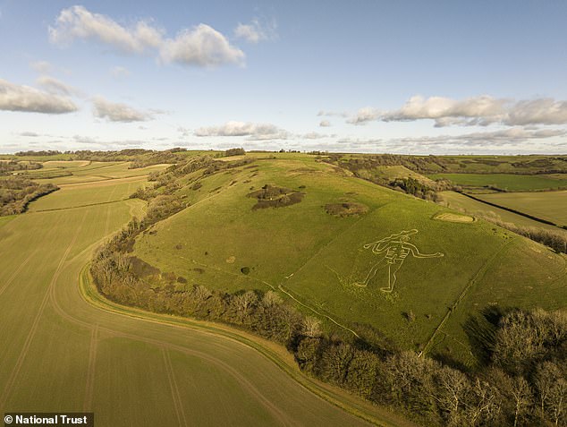Volunteers apply 17 tonnes of chalk to restore fading Cerne Abbas Giant.