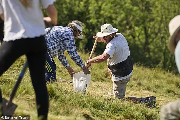 Volunteers apply 17 tonnes of chalk to restore fading Cerne Abbas Giant.